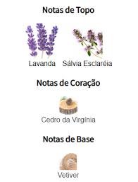 Pirâmide Olfativa (Perfume Inspirado)